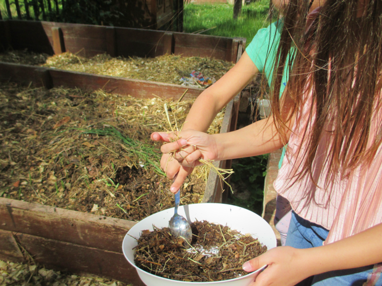 jak žížala stonala